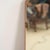 Vintage Mirror with Wooden Base For Sale - Image 3 of 8