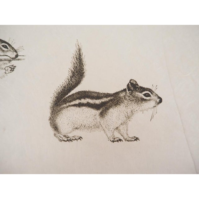 Salvador Dali, Ten Recipes for Immortality: Surrealist Composition, 1973, Etching For Sale - Image 9 of 12