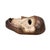 Early 20th Century Lega Bwami Society Mask For Sale In Denver - Image 6 of 7