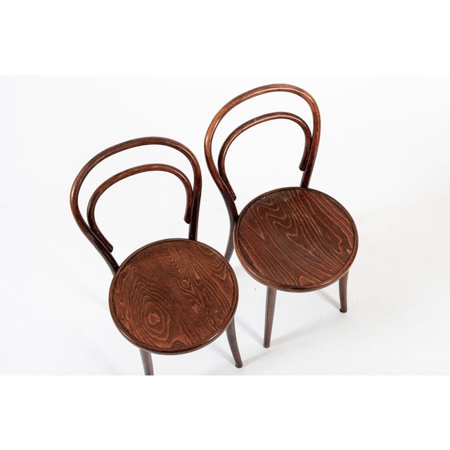 1960s Vintage Bent Wood Cafe Bistro Chairs by Drevounia, Set of 4 For Sale - Image 5 of 10