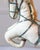 French Decorative Horse in Moleskin with Saddle and Harness, 20th Century For Sale - Image 9 of 11