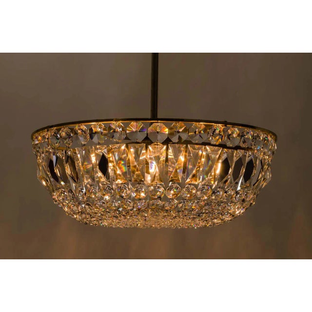 Austrian Brass & Crystal Chandelier, 1960s For Sale - Image 12 of 13