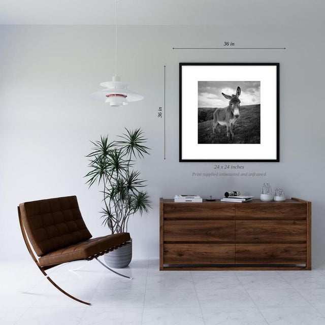 Contemporary Paul Cooklin, Barnaby, Edition of 50 For Sale - Image 3 of 5