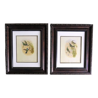 Pair of John Gould Humming Bird Lithographs Prints 1st Edition Framed For Sale