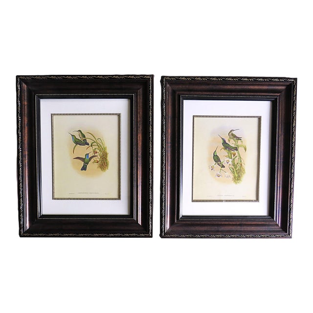 Pair of John Gould Humming Bird Lithographs Prints 1st Edition Framed For Sale