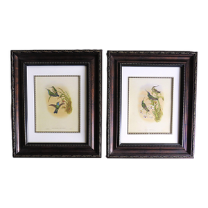 Pair of John Gould Humming Bird Lithographs Prints 1st Edition Framed