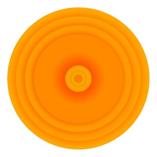 Giles Revell, Calendula Officinalis, 2018, Archival Pigment Print For Sale