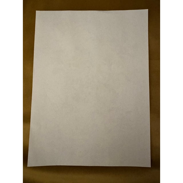 John James Audubon Vintage Audubon Style Ruby-Throated Hummingbird Print, Unframed For Sale - Image 4 of 7