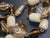 1940s MCM Jewelry Bohemian Glass Necklace in Opalescent Amber, Topaz and Taupe For Sale - Image 5 of 6