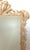 Italian Hand-Carved Grotto Shell & Coral Reef Mirror with Beveled Glass For Sale - Image 16 of 18