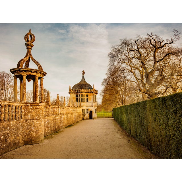 Guy Sargent, Le Jardin V, Archival Pigment Print For Sale