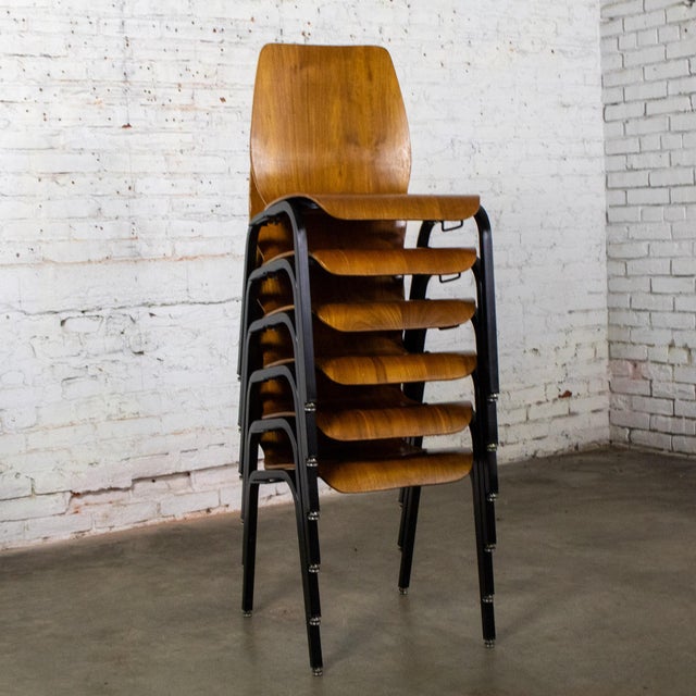 Modern Late 20th to Early 21st Century Modern Walnut Molded Plywood Chairs Stackable Connectable Refinished Set of 6 For Sale - Image 3 of 18