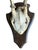 Traditional 1930s Roe Deer Trophy 144, Black Forest Antlers For Sale - Image 3 of 5