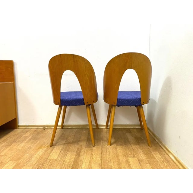 Chairs by Antonín Šuman for Ton, 1960s, Set of 2 For Sale - Image 9 of 10