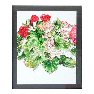 Red Begonia - Botanical Study by Deborah Eddy For Sale
