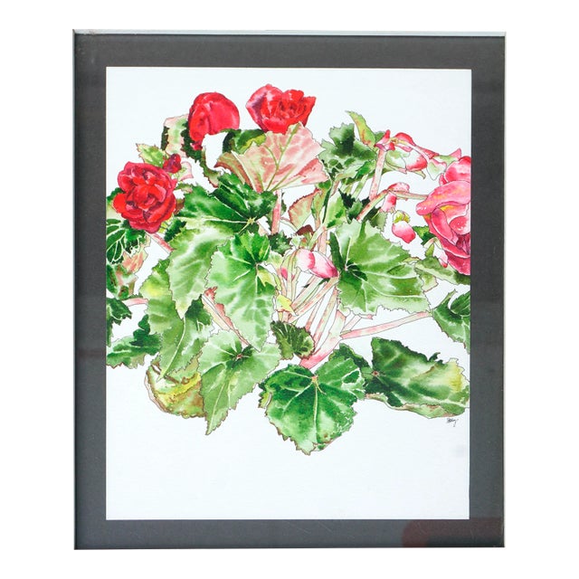 Red Begonia - Botanical Study by Deborah Eddy For Sale