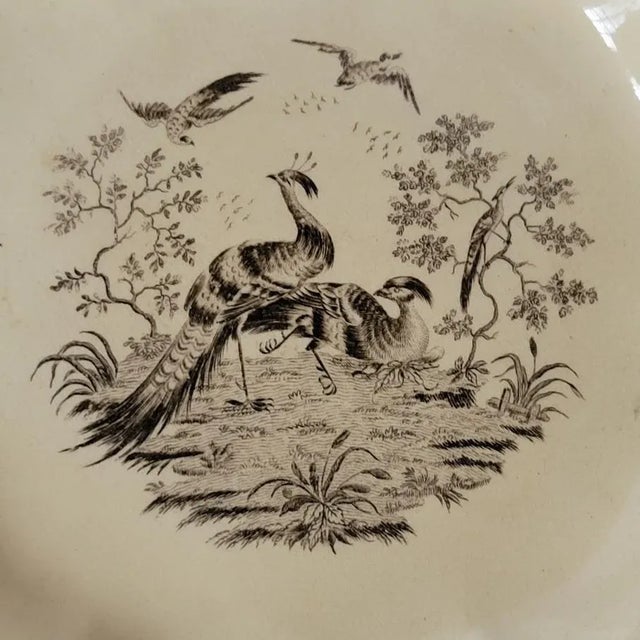 Figurative 18th C Creamware Black Transfer Pheasant Bird 10" Plate by Sadler & Green For Sale - Image 3 of 6