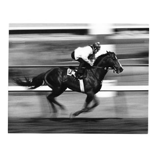 1972 Hollywood Park Race Track Equestrian Photograph by Don Ware For Sale