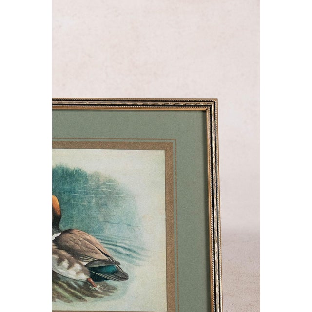 Set of 3 Signed Duck Prints With Green Mats For Sale - Image 9 of 9