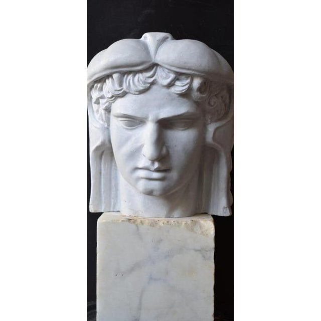 Hand-Carved Mithridates Bust Sculpture, 20th Century, Marble For Sale - Image 4 of 6