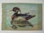 Vintage 1985 pastel on tan paper of Wood Duck, signed and dated lower right. Unframed, edge discoloration, image size 13"...