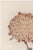 A refined example of late nineteenth-century Japanese botanical illustration, this vintage Japanese botanical art print...