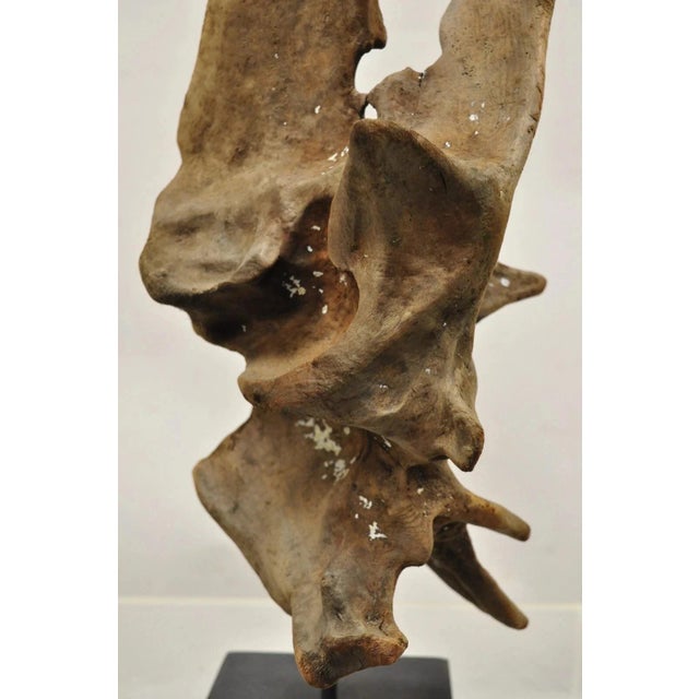 Vintage Abstract Sculpted Wood Sculptural Free Form Table Sculpture Statue For Sale - Image 9 of 12