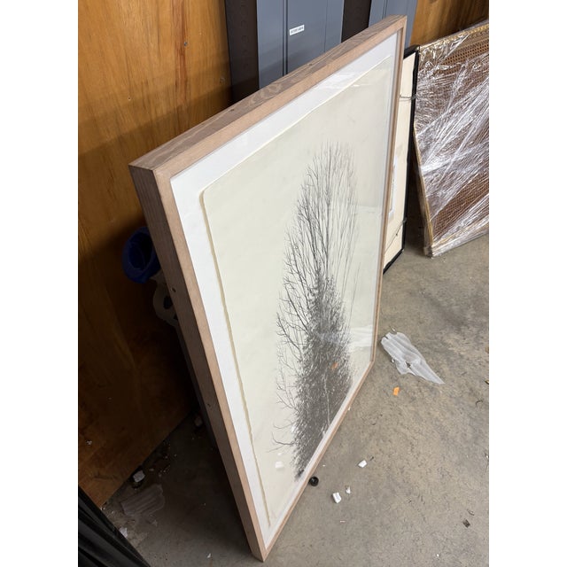 Photorealism "Tree" (1993) by Paul Rotterdam (American, B. Austria, 1939) For Sale - Image 3 of 6