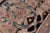 1990s Shabby Chic Medallion 1990's Pak-Persian Tan/Black Wool Rug - 9'2'' X 12'3'' For Sale - Image 5 of 9