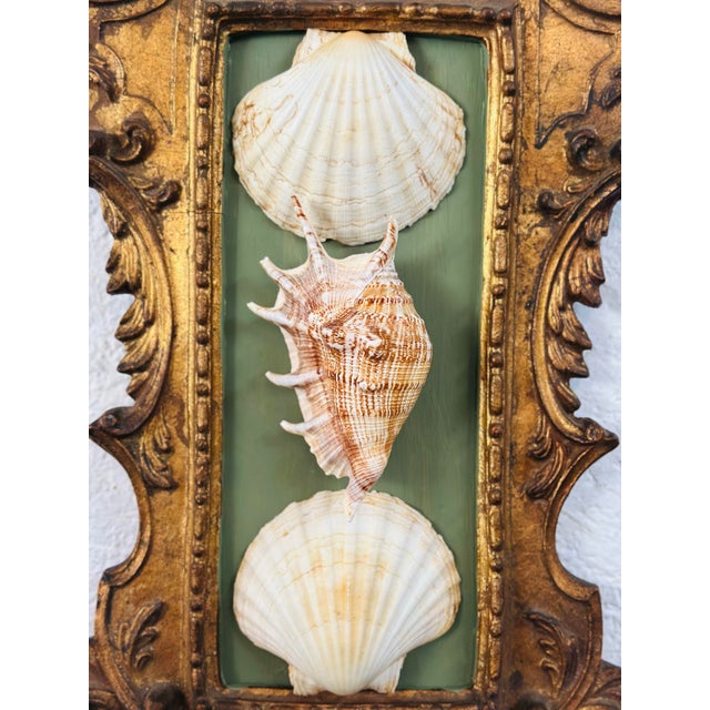 Antique Italian Frame With Shell Art For Sale - Image 4 of 8