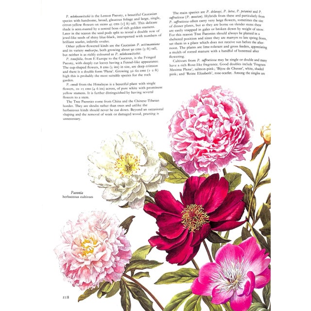 "Flowers of the World" Book 1972 Perry, Frances, Greenwood, Leslie [Illustrated By] For Sale - Image 4 of 9