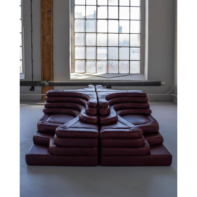 Terrazza Sofa Landscapes in Burgundy Leather by Ubald Klug for de Sede, 1970s, Set of 4 For Sale - Image 4 of 18