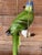 Green Vintage Ceramic Glazed Parrot on Brass Perch With Hanging Chain For Sale - Image 8 of 11