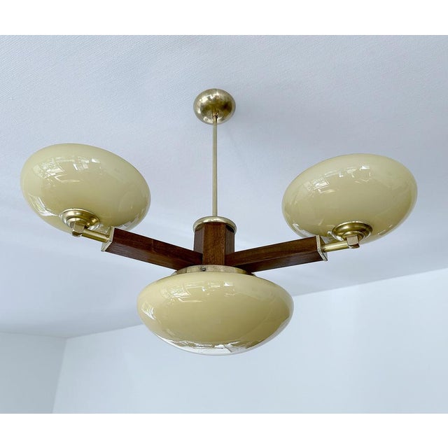 Art Deco Pendant Light in Wood & Glass, 1930s For Sale - Image 16 of 16