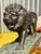 Maitland-Smith Pair of Bronze Roaring Lions on Marble Base Sculpture For Sale In New York - Image 6 of 7