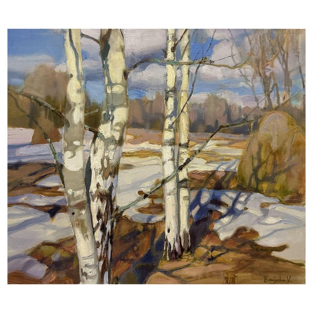 Valery Baida, Birches, Oil on Canvas, 2023 For Sale