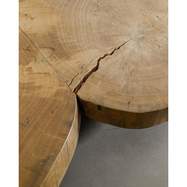Sculptural Free Form Wooden Low Coffee Table, 1960s For Sale - Image 4 of 7
