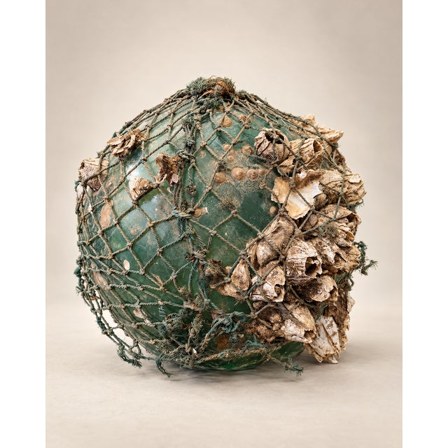 Vintage Glass Fishing Float With Rope Netting & Barnacles | Chairish
