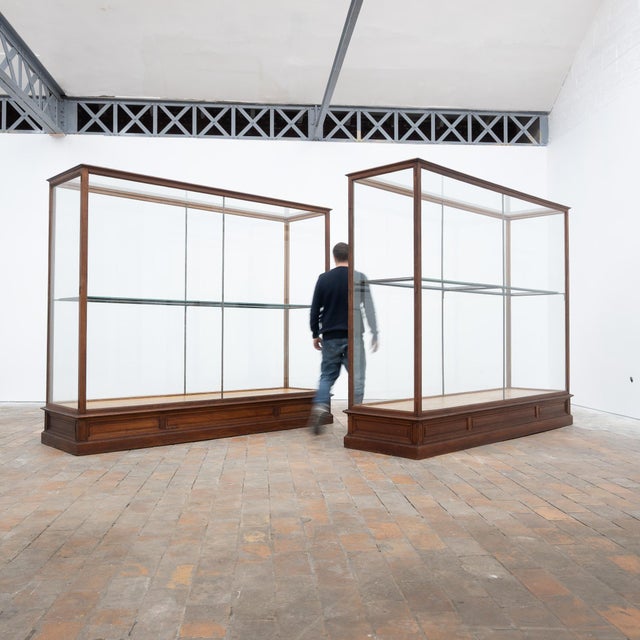 Antique Oak Museum Display Cases, 1910 For Sale - Image 4 of 18