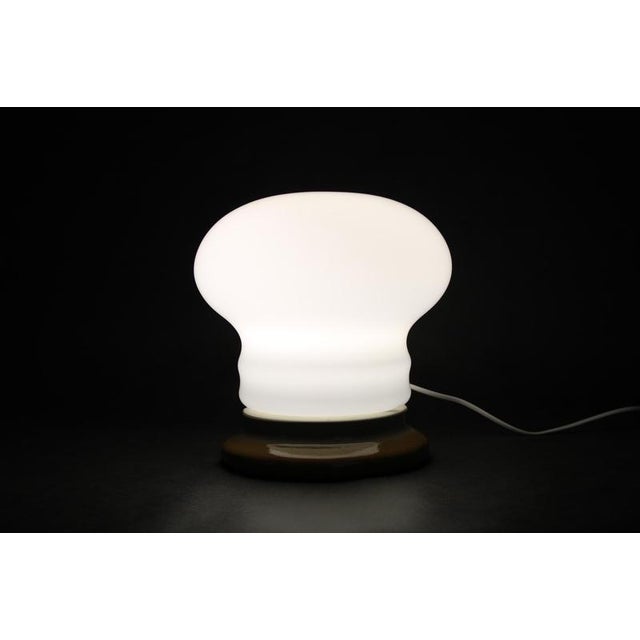 Mid-Century Czechoslovak Ceramic Table Lamp with Opaline Glass, 1960s For Sale - Image 10 of 11