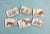 Equine Mini Melamine Trinket Trays - Set of 6 For Sale - Image 9 of 9