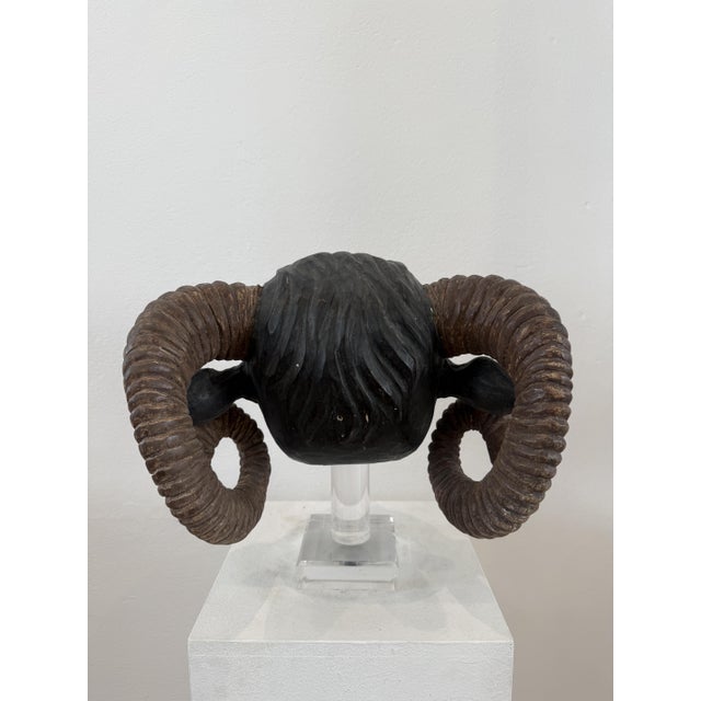 Northern European Artist, Ram's Head, 19th Century, Wood For Sale - Image 11 of 14