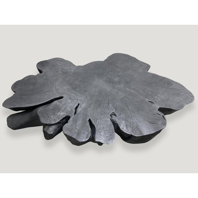 Andrianna Shamaris Biomorphic Sculptural Charred Mango Wood Coffee Table For Sale - Image 11 of 18