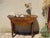 Walnut Top Flap Table For Sale - Image 3 of 18