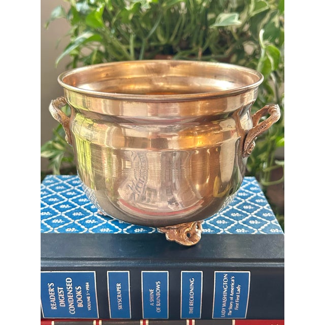 This petite brass cache pot is perfect to serve as a planter for and orchid or green plant. The opening is 5” wide and it...