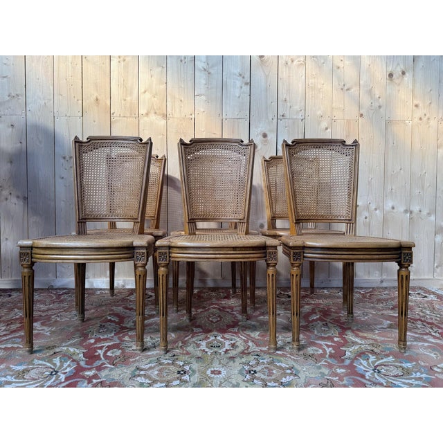 Vintage Louis XVI Style Cane Chairs, 1970s, Set of 6 For Sale - Image 11 of 11