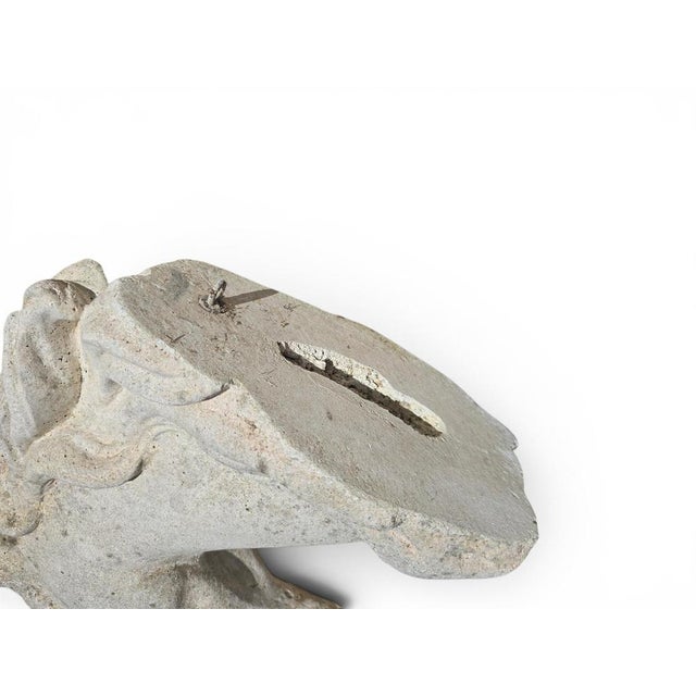 Horse Head Sculpture in Reconstituted Stone, 1990s For Sale - Image 6 of 8