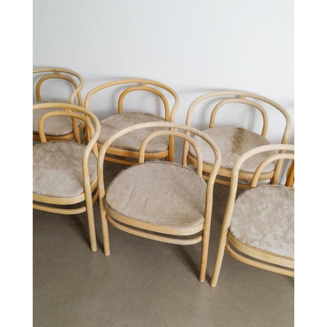 A rare set of eight danish modern "pk-15" dining chairs in a steambent ash wooden frames and cane seating designed by poul...