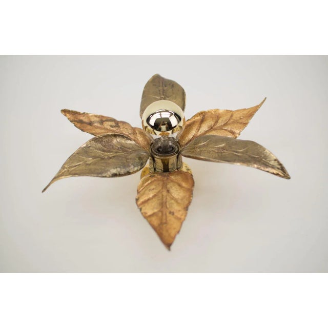Willy Daro Belgian Gold Brass Wall Light by Willy Daro for Massive, 1960s For Sale - Image 4 of 12