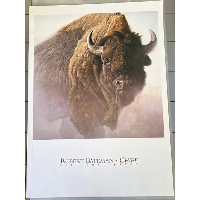 Bison Study Poster By Robert Bateman 1997. Dimensions W: 26 x H: 36 Acquired at a renown art collector's estate sale